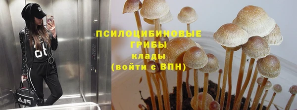 а пвп мука Михайлов