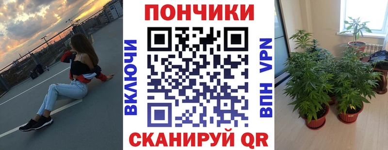 Каннабис OG Kush  цены   Яровое 
